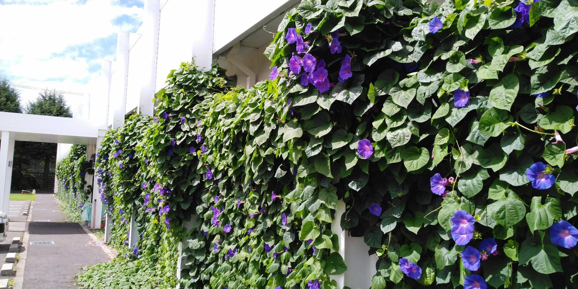 R4企業・団体の部優秀賞1