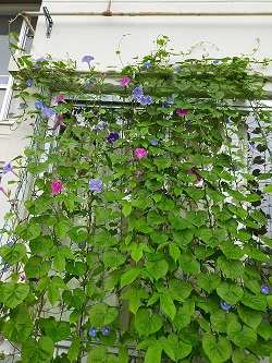 R4学校の部優秀賞