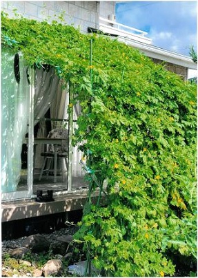 R6一般の部最優秀賞