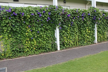 R6企業の部最優秀賞