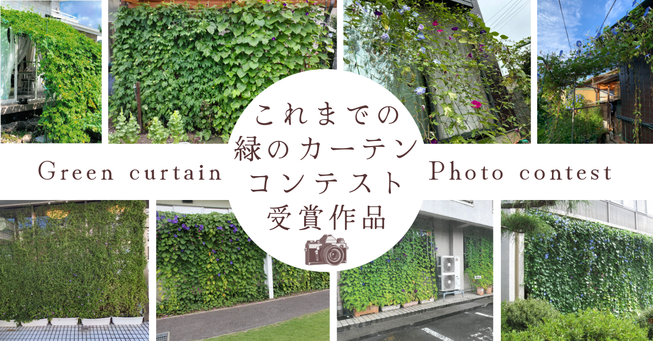 緑のカーテンコンテスト受賞作品サムネイル